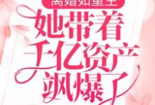 完结版《离婚如重生，她带着千亿资产飒爆了》章节阅读-芥末文学