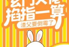 完结版《玄门大佬掐指一算，渣父要倒霉了》在线免费阅读-芥末文学