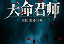 天命君师免费阅读，天命君师章节在线阅读-芥末文学