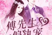 已完结小说《暖婚蜜恋：傅先生偏执宠》在线章节阅读-芥末文学