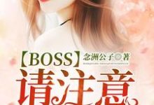 已完结小说《Boss请注意：娇妻重生了！》章节在线阅读-芥末文学