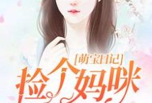 完结版《萌宝日记：捡个妈咪送爹地》章节阅读-芥末文学