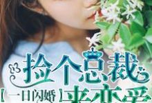 一日闪婚：捡个总裁来恋爱小说完结版章节免费阅读-芥末文学