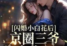 《闪婚小白花后，京圈三爷彻底收心了》小说章节在线试读，《闪婚小白花后，京圈三爷彻底收心了》最新章节目录-芥末文学