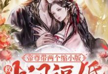 完结版《救命！帝尊带两个缩小版上门逼婚》章节阅读-芥末文学