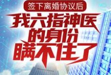 完结版《签下离婚协议后，我六指神医的身份瞒不住了》章节阅读-芥末文学