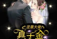 完结版《逆袭大佬：真千金她帅翻了》章节阅读-芥末文学