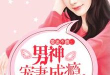 小说《婚迷不醒：男神宠妻成瘾》章节免费阅读-芥末文学