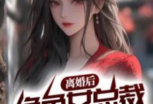 完结版《离婚后，绝色女总裁悔不当初》章节目录在线阅读-芥末文学