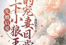 琅斐沈清棠小说《先婚后爱：年下小狼王的宠妻日常》在线阅读-芥末文学