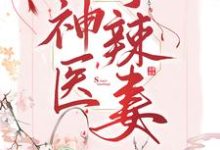 小说《神医小辣妻》章节免费阅读-芥末文学