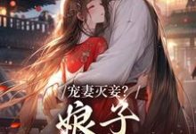 完结版《宠妻灭妾？娘子，我不会啊》章节阅读-芥末文学