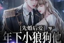 主角叫顾晓亦官阳煦小说先婚后爱：年下小狼狗他占有欲超强章节免费阅读-芥末文学