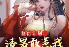 小说《复仇计划！渣男敢惹我将门虎女》章节免费阅读-芥末文学