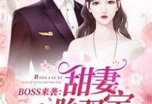 苏沫沫厉司夜小说在线章节免费阅读（BOSS来袭：甜妻一胎双宝无弹窗无删减）-芥末文学