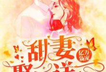 完结版《亿万枭宠：甜妻娶一送一》章节目录在线阅读-芥末文学