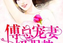 寻找能够免费阅读傅总宠妻超强势小说的平台-芥末文学