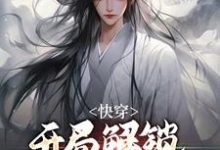 完结版《快穿：开局解锁多子多福系统》在线免费阅读-芥末文学