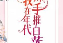 我在年代辣手摧白莲这本小说怎么样？免费在线阅读试试-芥末文学