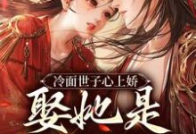 完结版《冷面世子心上娇：娶她是筹谋已久》章节阅读-芥末文学