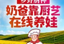 陈观澜诺诺的小说在哪里看？免费在线阅读乡野厨神：奶爸靠厨艺在线养娃-芥末文学