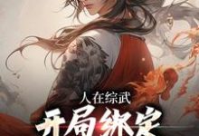 完结版《人在综武，开局绑定嘲讽曝光系统》章节阅读-芥末文学