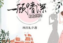 完结版《一顾情深，念念似海》章节目录在线阅读-芥末文学