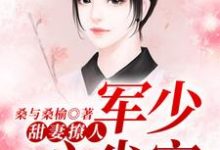 甜妻撩人：军少心尖宠小说完结了吗？在哪里可以免费读到？-芥末文学