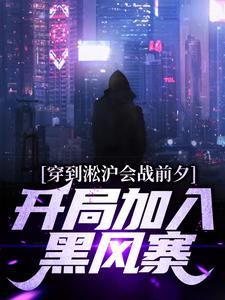 完结版《穿到淞沪会战前夕，开局加入黑风寨》章节阅读