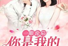 完结版《一眼沦陷：你是我的命中注定》章节目录在线阅读-芥末文学