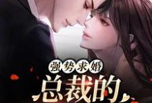 《强势求婚，总裁的幸孕罪妻》全集免费在线阅读（顾清雨傅廷也）-芥末文学