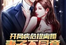 完结版《开局病危提离婚，妻子不同意咋办？》章节阅读-芥末文学