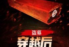 盗墓：穿越后我系统无敌小说，盗墓：穿越后我系统无敌最新章节-芥末文学