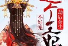 完结版《劫后余生：这个王妃不好宠》章节阅读-芥末文学