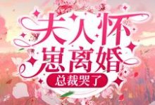 夫人怀崽离婚，总裁哭了小说的最新章节在哪里更新？免费追踪阅读-芥末文学