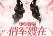 苏染陆衡为主角的小说好看吗？求甜蜜军婚：俏军嫂在八零赚麻了免费试读-芥末文学