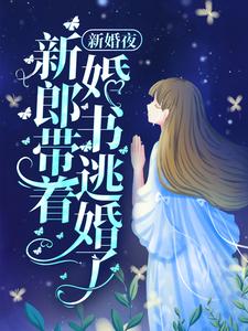 小说《新婚夜，新郎带着婚书逃婚了？》章节免费阅读