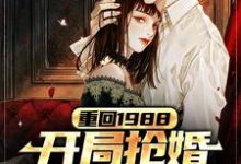 重回1988，开局抢婚抱得美人归小说的无弹窗阅读体验，寻找免费阅读网站-芥末文学