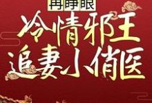 再睁眼，冷情邪王追妻小俏医云月汐欧阳灏轩，再睁眼，冷情邪王追妻小俏医在线无弹窗阅读-芥末文学