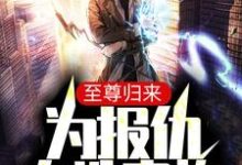 完结版《至尊归来:为报仇血洗家族》章节阅读-芥末文学