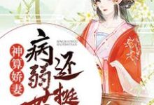 小说《神算娇妻：病弱世子还挺甜》章节免费阅读-芥末文学