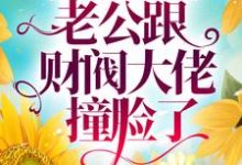 小说《相亲闪婚后，老公跟财阀大佬撞脸了》章节免费阅读-芥末文学