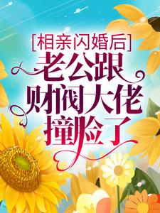 相亲闪婚后，老公跟财阀大佬撞脸了