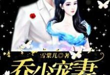 完结版《乔少宠妻甜蜜蜜》章节阅读-芥末文学