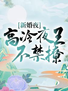 新婚夜，高冷夜王不禁撩小说完结版章节免费阅读