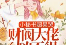 完结版《小秘书超易哭，财阀大佬凶不得！》章节阅读-芥末文学