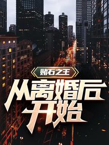 完结版《赌石之王从离婚后开始》免费阅读