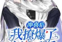主人公叫[标签:作者]的小说穿书：冲喜后我撩爆了病娇反派在线阅读章节-芥末文学