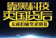 小说《靠黑科技卖国货后，友商们痛哭求别卷》章节阅读-芥末文学