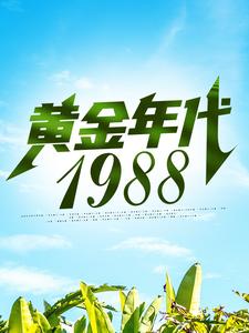 黄金年代1988小说，黄金年代1988钟援朝钟局